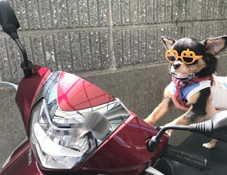 バイク写真.jpg