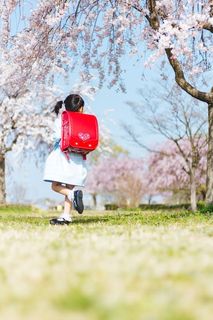 入学.jpg