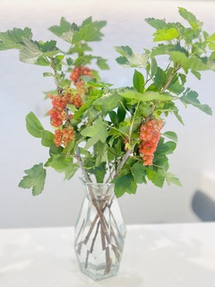 受付花2.jpeg